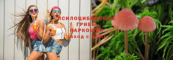 спайс Балахна
