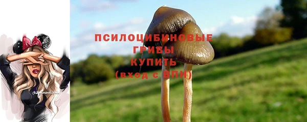 а пвп мука Балабаново