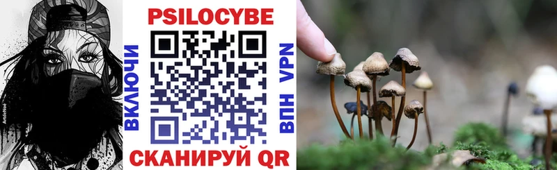 купить наркотик  Унеча  hydra зеркало  Галлюциногенные грибы Cubensis 